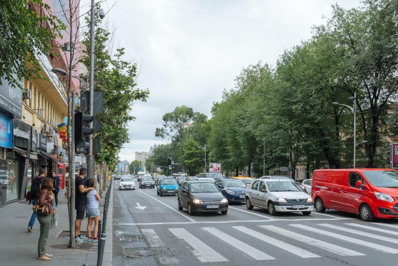 Petite Maison Sur Le Boulevard Bucureşti Ngoại thất bức ảnh