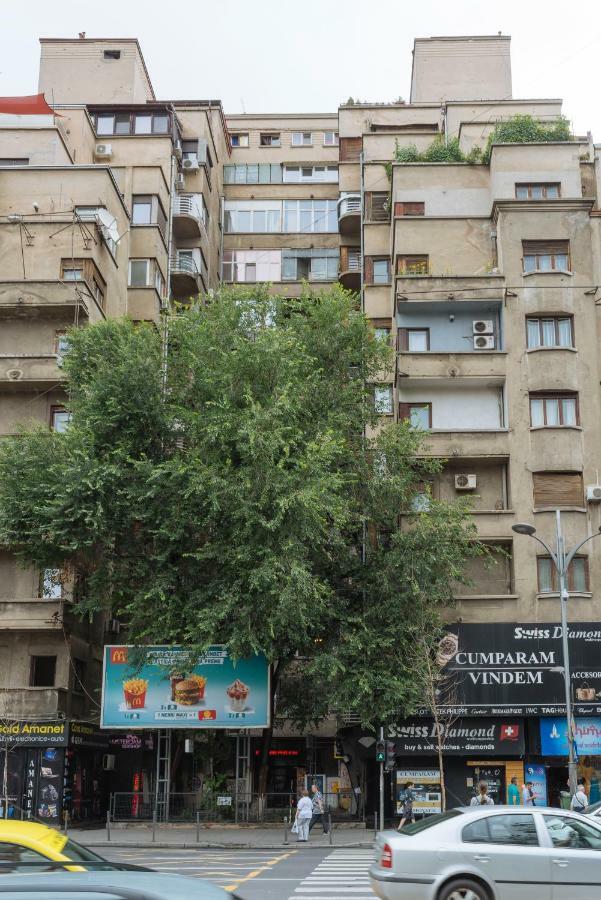 Petite Maison Sur Le Boulevard Bucureşti Ngoại thất bức ảnh